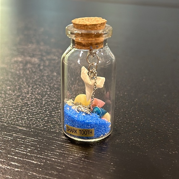 Shark Tooth Necklace in Glass Jar with Sand and Seashells - Picture 1 of 6